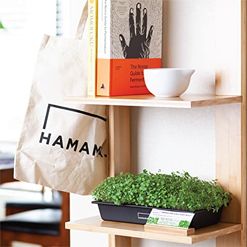 Hamama Grow Shelf – Bamboo Plant Stand For Hamama Microgreen Trays – 6 Layer Seed Starter Tray Display Shelf Organizer – Space Saver Plant Shelf For Microgreens, Sprouting Seeds & Germination Tray #TOP2