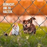 Alberts 604653 Maschendraht-Geflecht | anthrazit | Höhe 125 cm | Länge 15 m