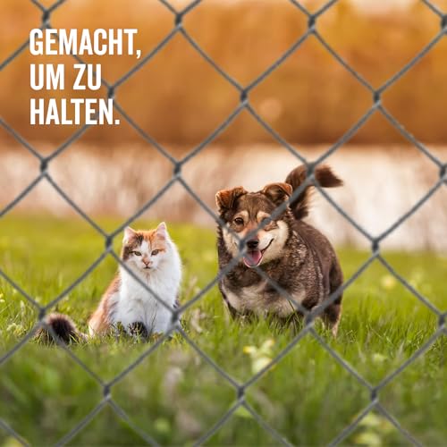Alberts 604653 Maschendraht-Geflecht | anthrazit | Höhe 125 cm | Länge 15 m