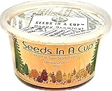 Ash Tree | Seeds In A Cup: Ash Tree Starter Kit | Easy to use | Educational | Memorial Gift | Plant It for The Planet | Grow Your Own Tree | Plastic Planter