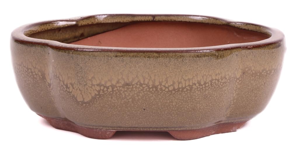 BIOMATA Bonsai Schalen Keramik 15,5x12,3x2,9cm 3er Set Oval   Wetterbestndige Tpfe Fr Mame Shohin