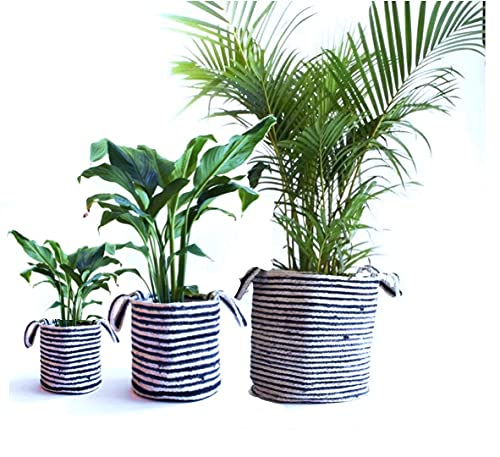 Quace Woven Cotton/Jute Plant Basket for Indoor Plants Laundry Organisers, Toy Storage Baskets, Boho Home Decor (Blue-White Cotton (3pcs)) (B09CQGRBHH) Amazon Price History, Amazon Price Tracker