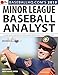 2019 Minor League Baseball Analyst