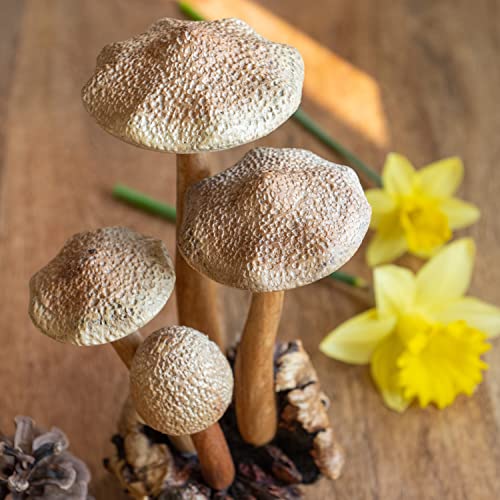 Curawood Wooden Mushrooms Sculpture For An Ornate Touch - Handcrafted 9" Mushroom Statue With Intricate Details - Authentic Garden Mushrooms Decorative Centerpiece - Indoor Artisan Cottagecore Decor #TOP5