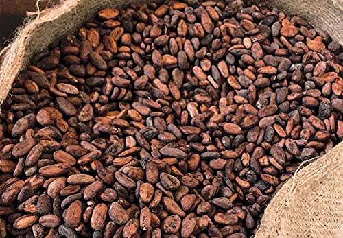 Image of Midday Cocoa Beans | fermented | Sun dried | Raw Cocao Bean | from Kerala, 200 gm