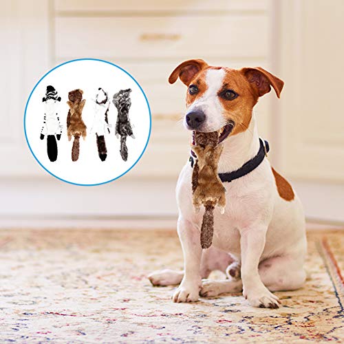 BESPORTBLE Cão Brinquedos Sibilantes 4Pcs Recheio Do Filhote de Cachorro de Pelúcia Brinquedo Para R