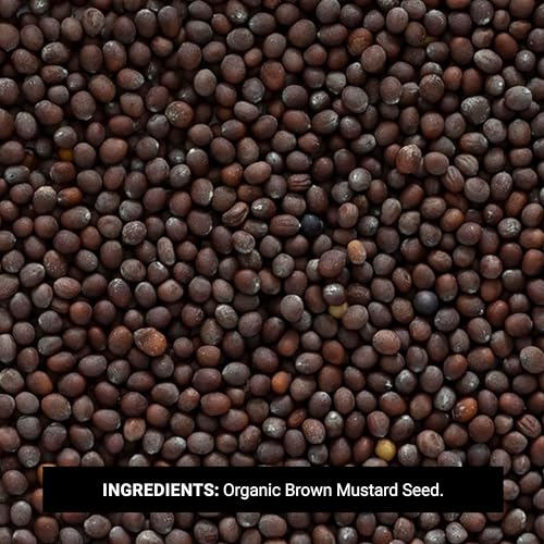 Frontier Co-op Organic Whole Brown Mustard Seed, 1-pound Bulk Bag, Robust Spicy, Peppery Flavor, Great for Soup and Pickling - Image 2