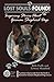 Lost Souls: FOUND! Inspiring Stories About German Shepherd Dogs
