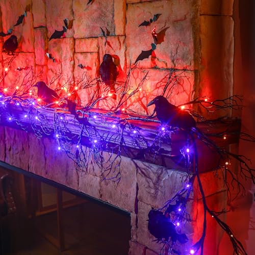 Guirlandes d'Halloween DEL orange et violette 8 modes à télécommande - 4