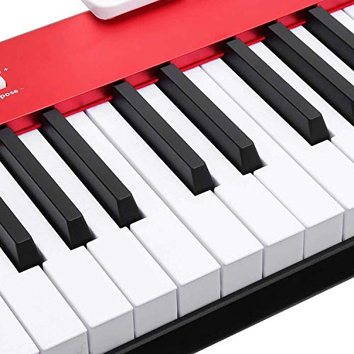 MYRCLMY 88 Clés Portables Organes Électroniques Électriques Piano Vélocités De Clavier Sensibles Au Clavier LED Clés D… - Les Beatles, Paul McCartney, John Lennon, RIngo Starr, George Harrison MYRCLMY 88 Clés Portables Organes Électroniques Électriques Piano Vélocités De Clavier Sensibles Au Clavier LED Clés D… – Image 4