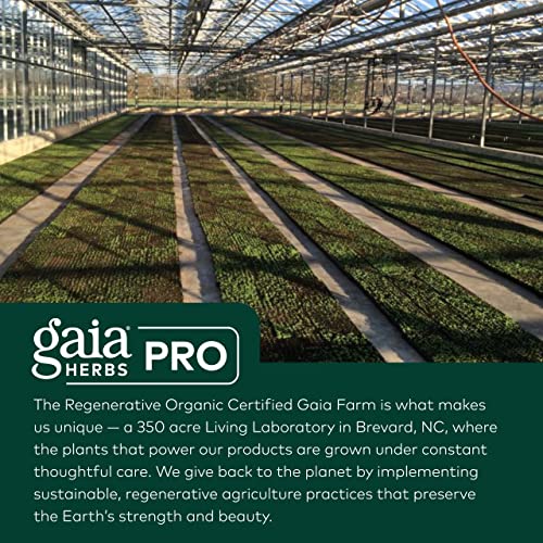 Gaia Herbs Quick Defense - Fast-Acting Immune Support Supplement For Use At Onset Of Symptoms - With Echinacea, Black Elderberry, Ginger & Andrographis - 40 Vegan Liquid Phyto-Capsules (4-Day Supply) #TOP6