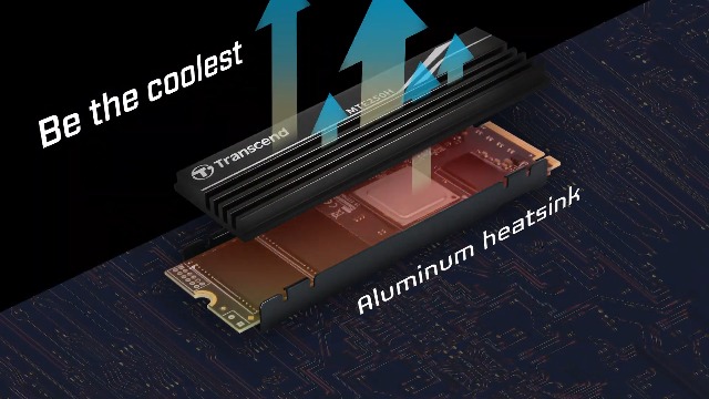 Amazon.in: Buy Transcend 2TB NVMe PCIe Gen4 x4 Internal (SSD