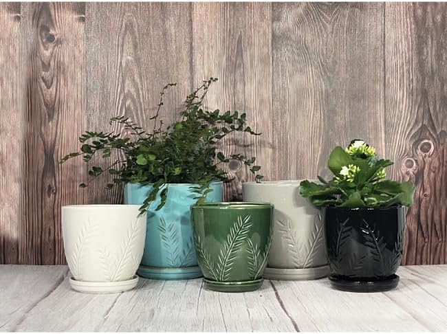 Aspen & Fig Aqua Blue 8 Inch Indoor Ceramic Plant Pot with an Attached Saucer and Drainage Hole for House Plants, Herbs, Flowers, Succulent Plants, Snake Plants, Gifts for Mom, Standard Pot
