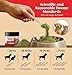 OZIPCO Dog Dental Powder | Natural Teeth Cleaning for Dogs & Cats | Pet Breath Freshener Food Topper with Enzymes | Helps Support Clean Teeth & Fresh Breath | Mint Flavor, 2 Pack (Up to 60-Day Supply)