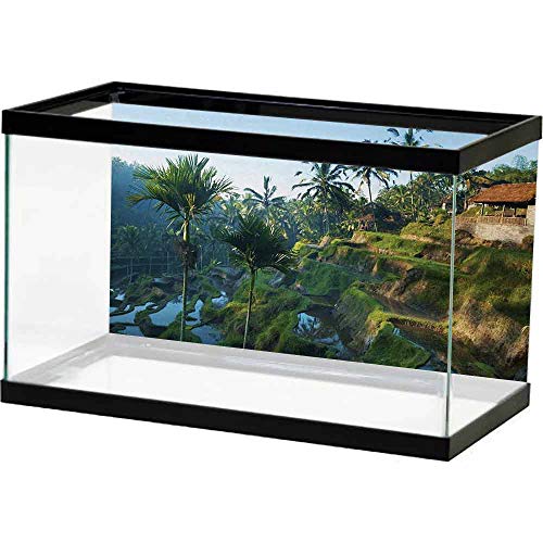 bybyhome Underwater Poster Fish Tank Balinese,Terrace Rice Fields Palm Trees Traditional Farmhouse Morning