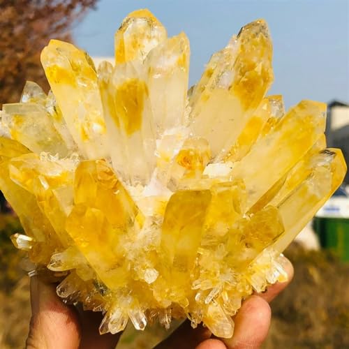 Quartz jaune du Tibet grand cristal de roche rayonnant de 700g pour le bien-être
