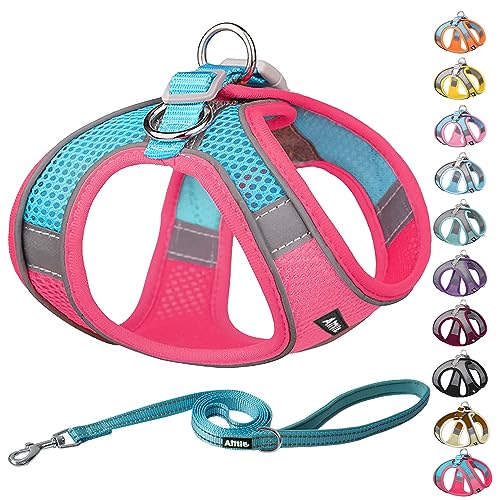 AIITLE Pet Supply No Pull, Step in Adjustable Dog Harness with Padded Vest for All Weather, Easy to Put on Small and Medium Dogs Hot Pink S