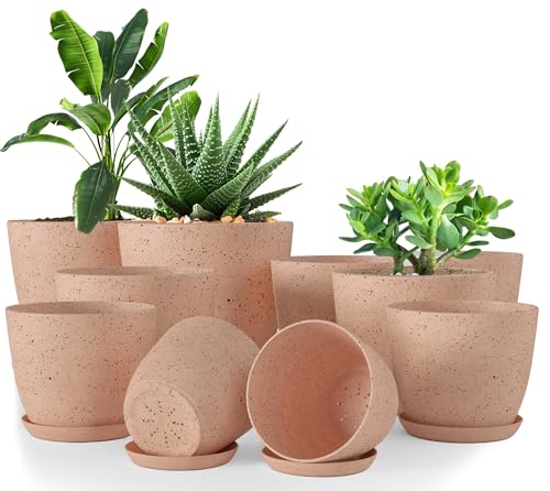 Utopia Home - Spotty Plant Pots Indoor with Drainage -