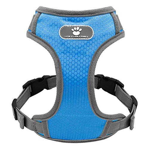 Preisvergleich Produktbild ERTY Verstellbare Weste Atmungsaktives Netzgeschirr für mittelgroße Hunde Husky Alaskan Labrador Haustierzubehör, Blau, S