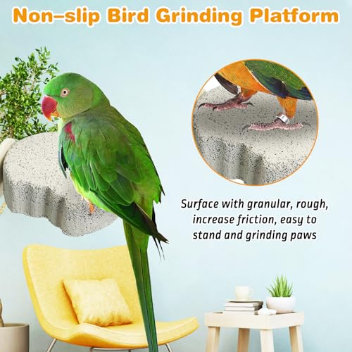Image of PINVNBY 8 PCS Bird Perch Parrot Beak Grinding Stone Calcium Mineral Parrot Perch Foot Claws Trimmer Chewing Toy Bird Cage Accessories for Small Medium Budgie Cockatiel Conure Lovebird (Lune)
