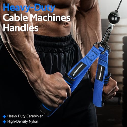 Image of RENRANRING Gym Exercise Handles, Replacement Handle Attachments for Cable Machine Pulleys, Resistance Band and Strength Trainer, Pull Down Workout Accessories, Home Gym Add On Equipment (Blue)