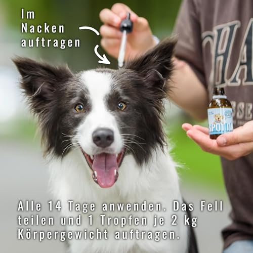 Sollis Zeckenschutz für Hunde | Zecken Spot On | Natürliche Ölmischung