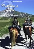 Trekking a cavallo 2. Equipaggiamento, alimentazione, emergenze, poste, riparazioni, normative