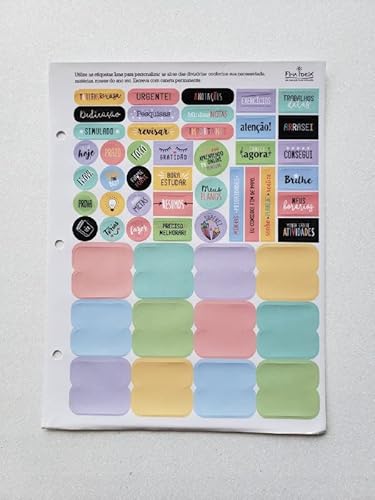 Refil Divisórias Fichário Fina Ideia + 10 Canetas Gel Cor