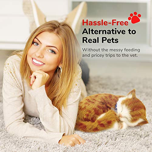 Perfect Petzzz, volpe finta