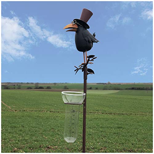chemin_de_campagne Pathin_de_countryside Plant Support Rain Gauge Spike Decoration Garden Raven 132 cm x 17 cm x 16 cm