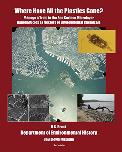Where Have All the Plastics Gone?: Menage a Trois in the Sea Surface Microlayer: Nanoparticles as Vectors of Environmental Chemicals (Phenomenology of Biocatastrophe)