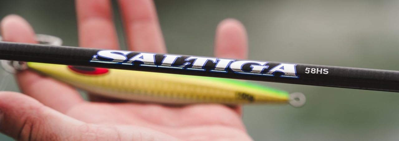 Daiwa SALTIGA Jigging Series : Amazon.ca: Sports & Outdoors