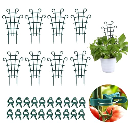MEISO 8 Pezzi Supporto Piante Rampicanti, Supporti per Piante da Giardino, con Clip per Piante 20 Pezzi, Tralicci Rampicanti, Traliccio per Piante Rampicanti, Supporto per Rampicanti Piante in Vaso