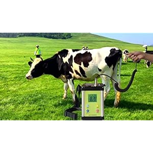   Digital-Remote-Thermometer-for-Big-Animals-Horse-Thermometer-Cows-Thermometer-pet-Thermometer-for-Horse-Cows