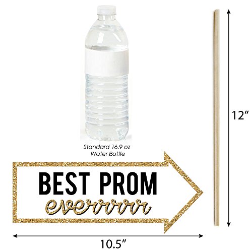 Funny Prom - Prom Night Party Photo Booth Props Kit - 10 Piece #TOP3