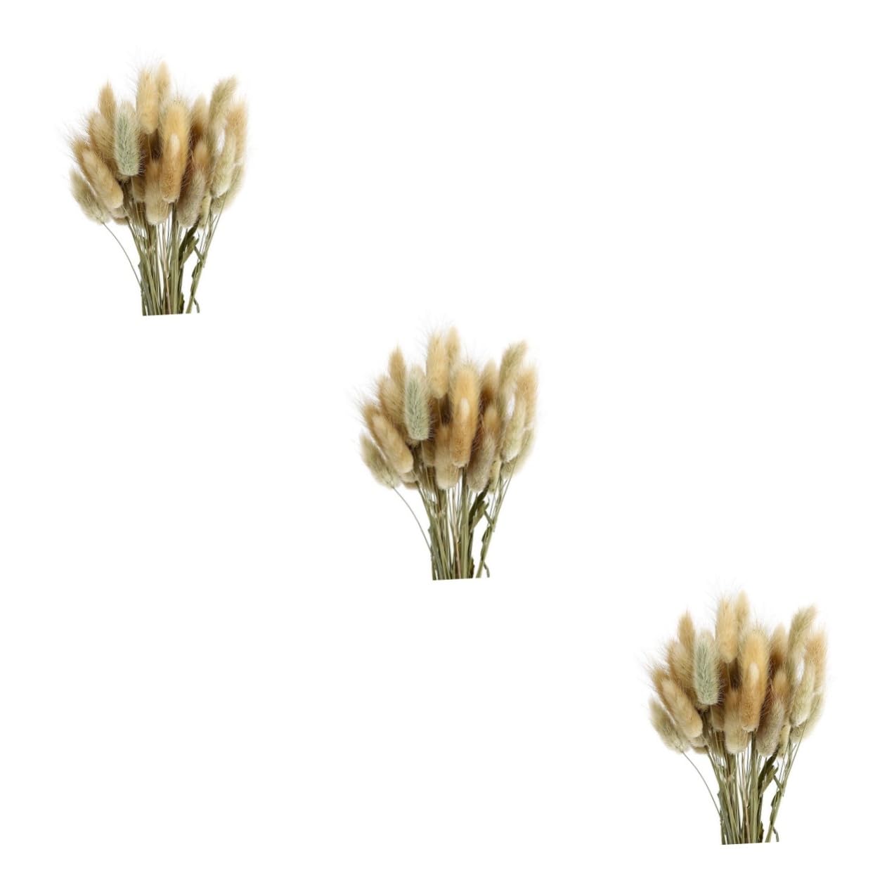 Cabilock 3 Uds 1 Uds Decoración del Hogar Flores Secas Cola De Conejo Plantas Naturales Flor Natural para Foto Hogar Pennisetum