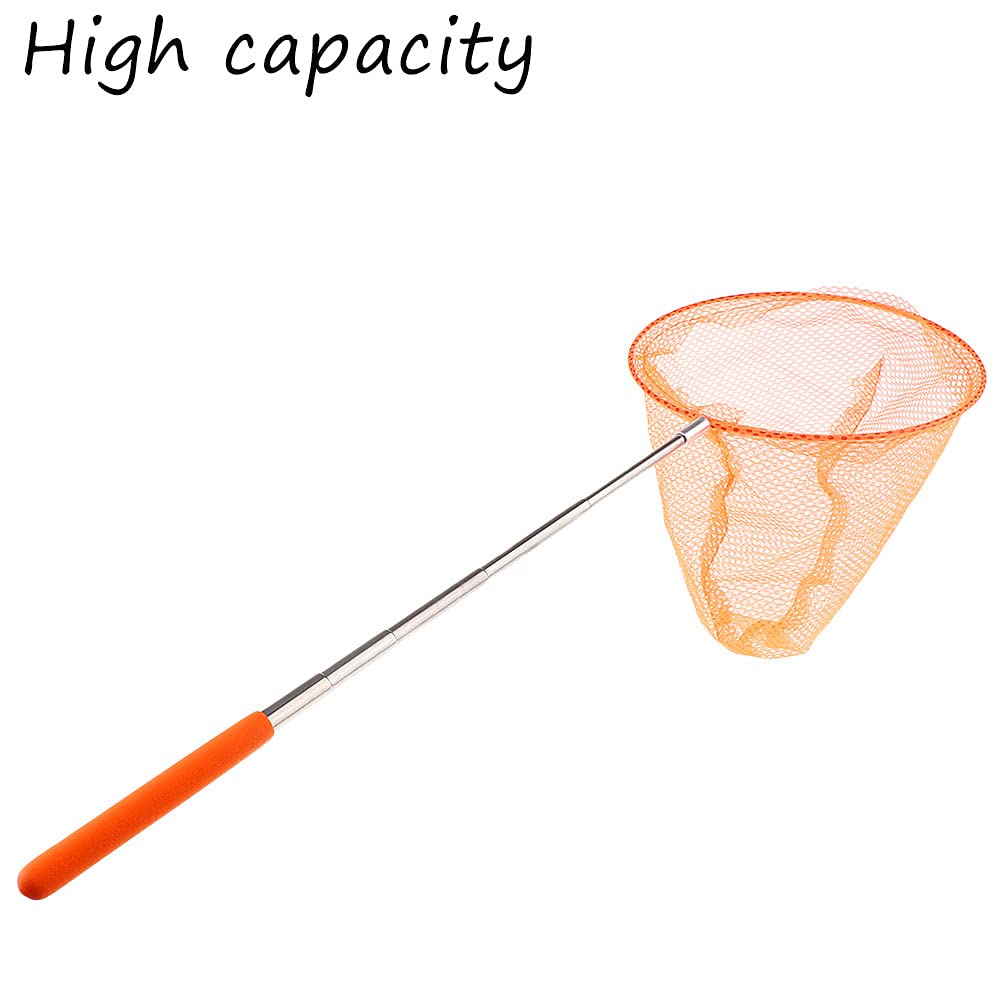 Set 4 Retini Pesca Telescopici - Per Bambini, Insetti E Pesci