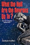 What The Hell Are The Neurons Up To?: The Wire-Dangled Human Race