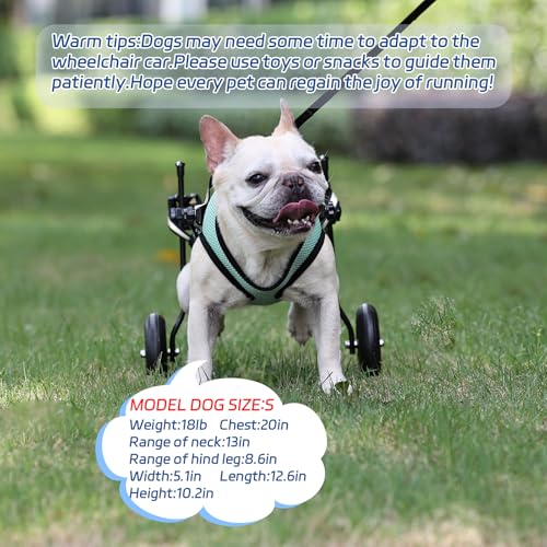 Silla de ruedas ajustable para perros con discapacidad trasera talla pequeña 7
