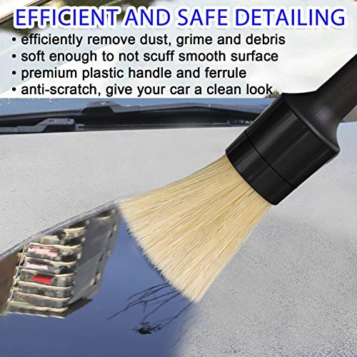 10 Pcs Boar Hair Detailing Brush Set