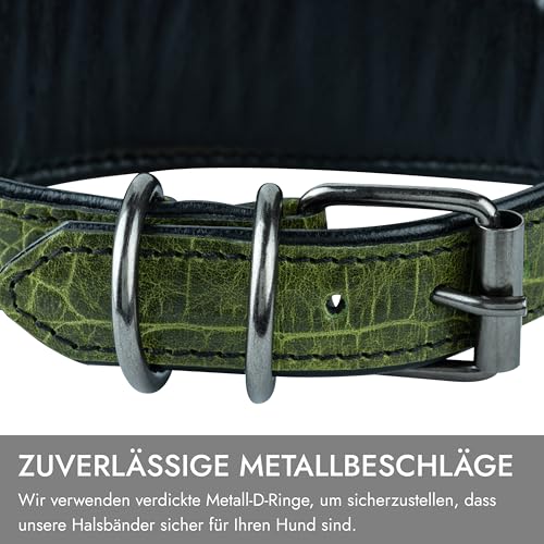 FAVPET Luxus Echtleder Windhund Halsband Breit mit QR Code Anhänger, Weiches Lederhalsband Hund Breit Whippet Italienisches Windspiel Saluki Lurcher Spanischer Galgo Greyhound Podenco (Grün, S)