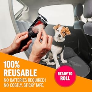 Chom chom roller mini for pet hair  mini chomchom lint roller pet hair removal tool for clothes couches and cars  dog hair remover and lint remover for clothes  reusable lint roller for cat hair   cucciolini doodles