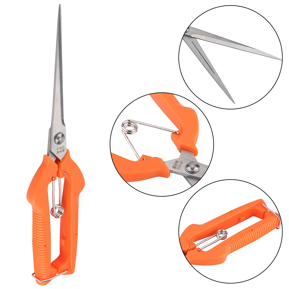 Gegong 250 mm élagage cisaillement jardin de cisaillement Cisseurs ciseaux Home Pruning Carear Jardin Twear Carement Branche Toolet de jardinage pour la coupe de la brindille à fle