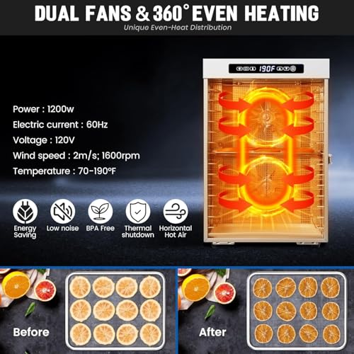 Catálogo de Deshidratador de Alimentos Hamilton Beach los más solicitados. 12 Imagen adicional