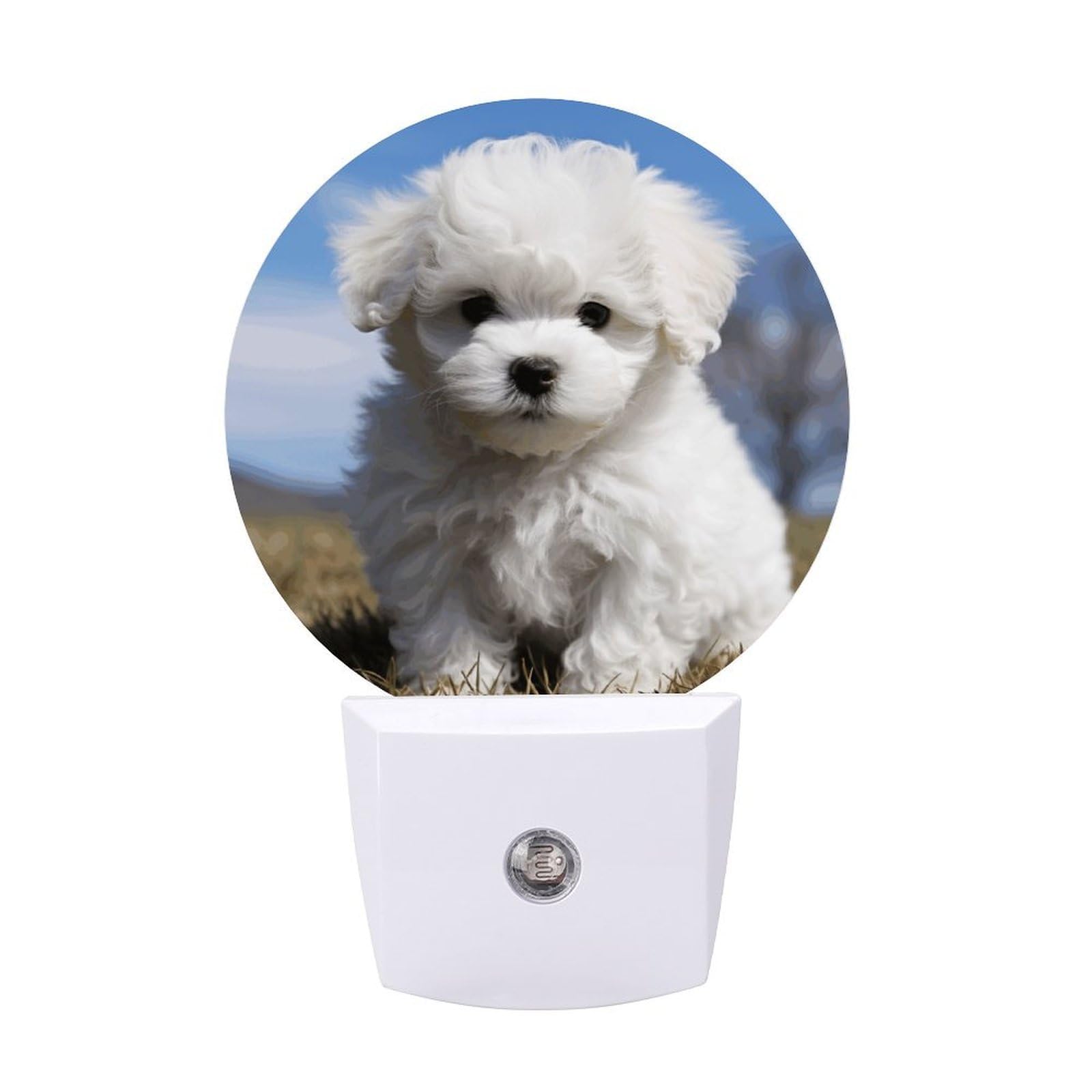 FekiLoot Bichon Frise Dog LED Plug-in Night Light 0.5W