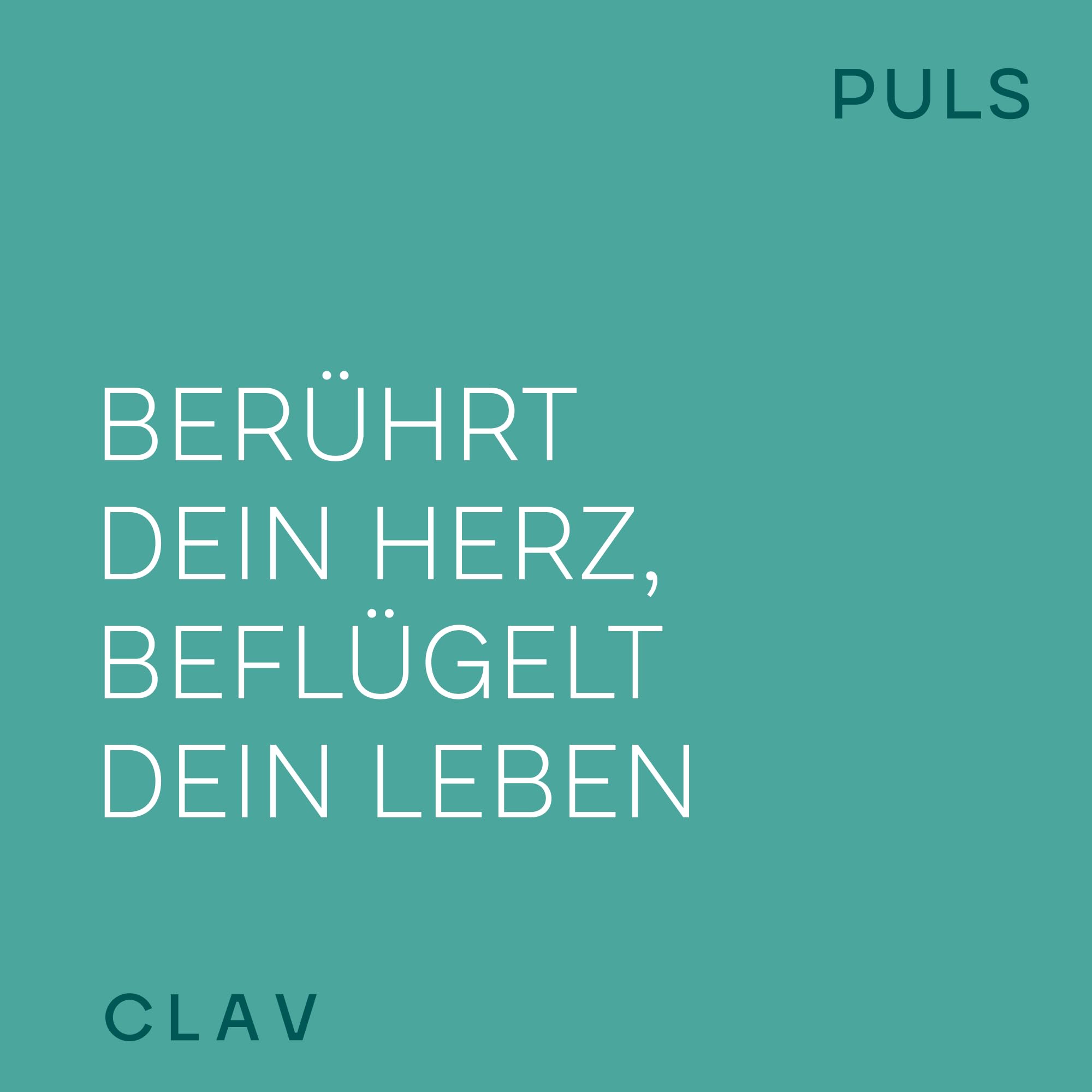 N°14 Puls - OPC Traubenkernextrakt mit 650mg OPC hochdosiert je Tagesdosis, L Arginin, Schwarzer Knoblauch & Kalium für den Blutdruck - 120 Kapseln - Vegan