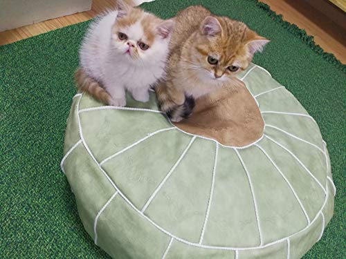 Riseon Boho Handmade Faux Pu Leather Moroccan Pouf Footstool Ottoman Leather Poufs Unstuffed 23" X 11" -Round Floor Cushion Footstool For Living Room, Bedroom And Under Desk (Green) #TOP4