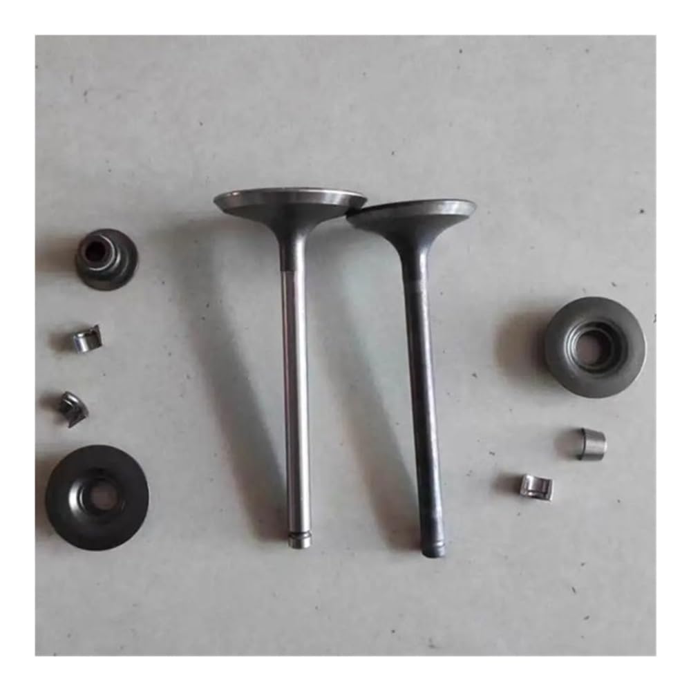 INTAKE VALVE AND Fit For GT1300 GM390 GM401 13HP MGE6700