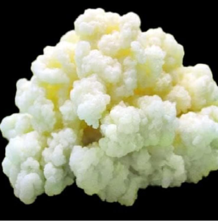 Milk Kefir Grains Starter Bulgaros de Leche, Pajaritos de Leche Fast Growth Culture Start your Homenade Fermentation experience with Fresh Live Active Probiotics Cultures Make fresh Drink at home 1 TABLESPOON KETO friendly