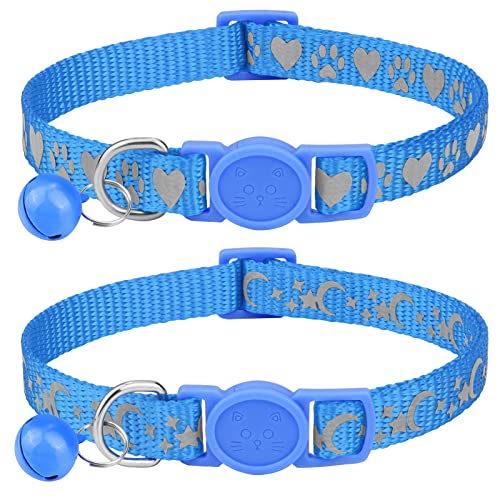 Kitten Collars The 15 best products compared Wild Explained